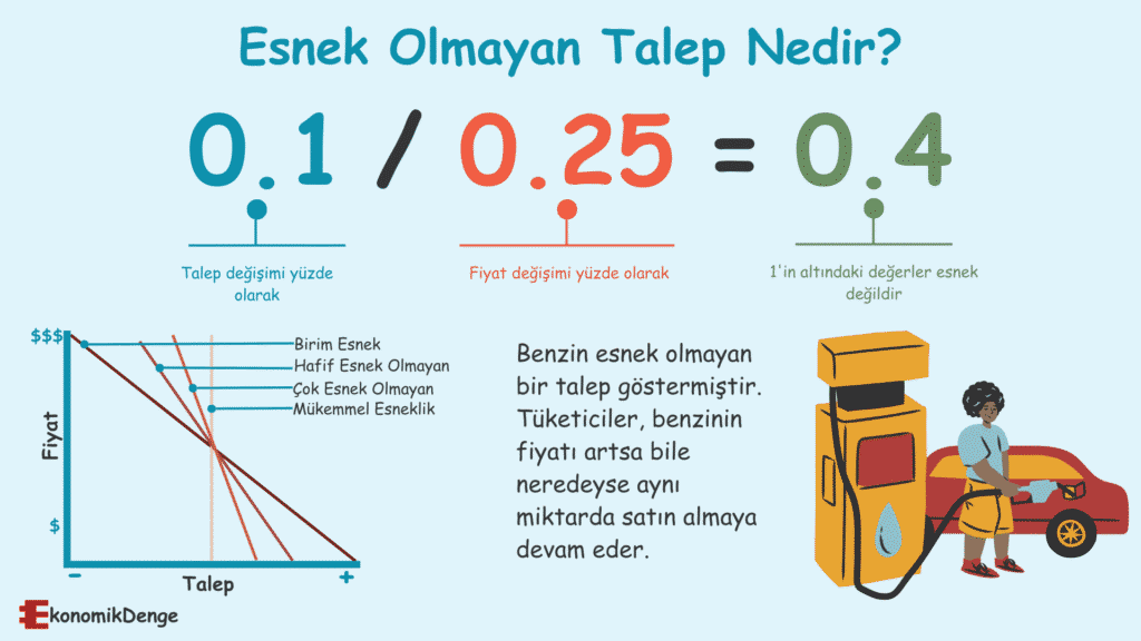 Esnek Olmayan Talep Nedir